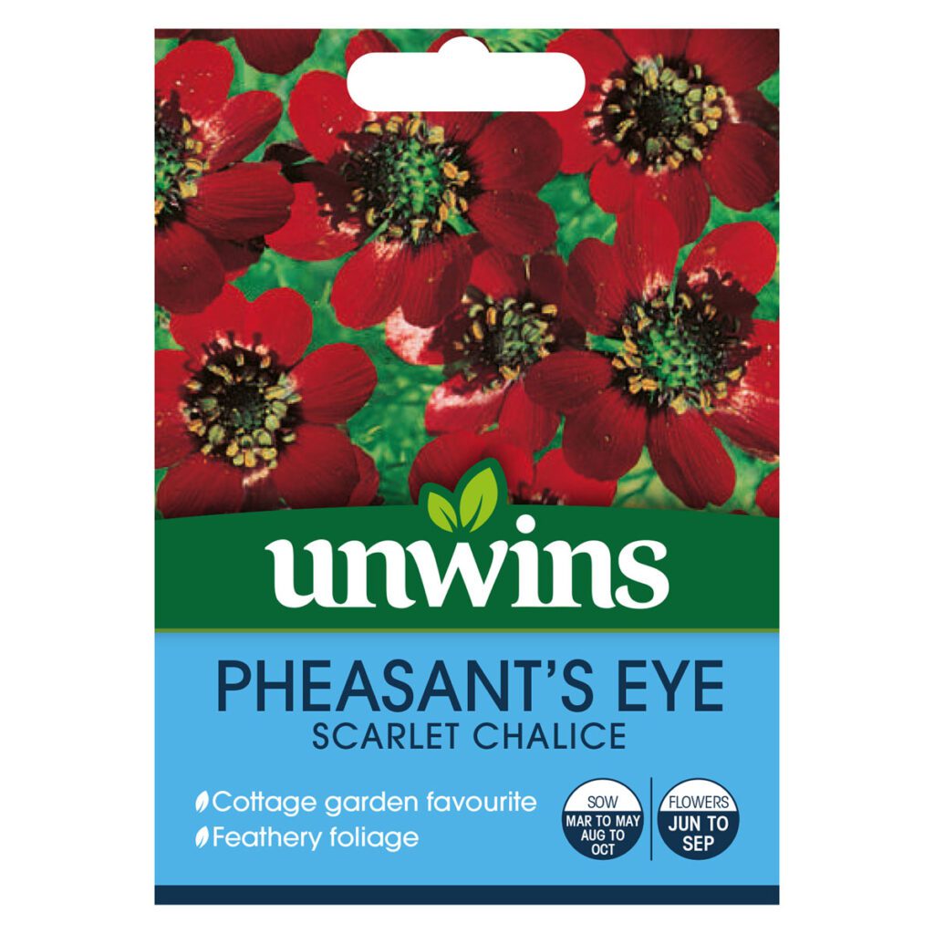 Unwins Pheasant’s Eye Scarlet Chalice Seeds 5051618011976 2